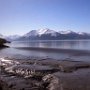 On the rail through Chugach Park